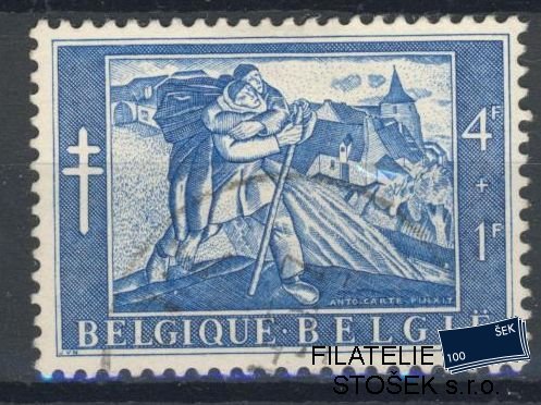 Belgie známky Mi 1009