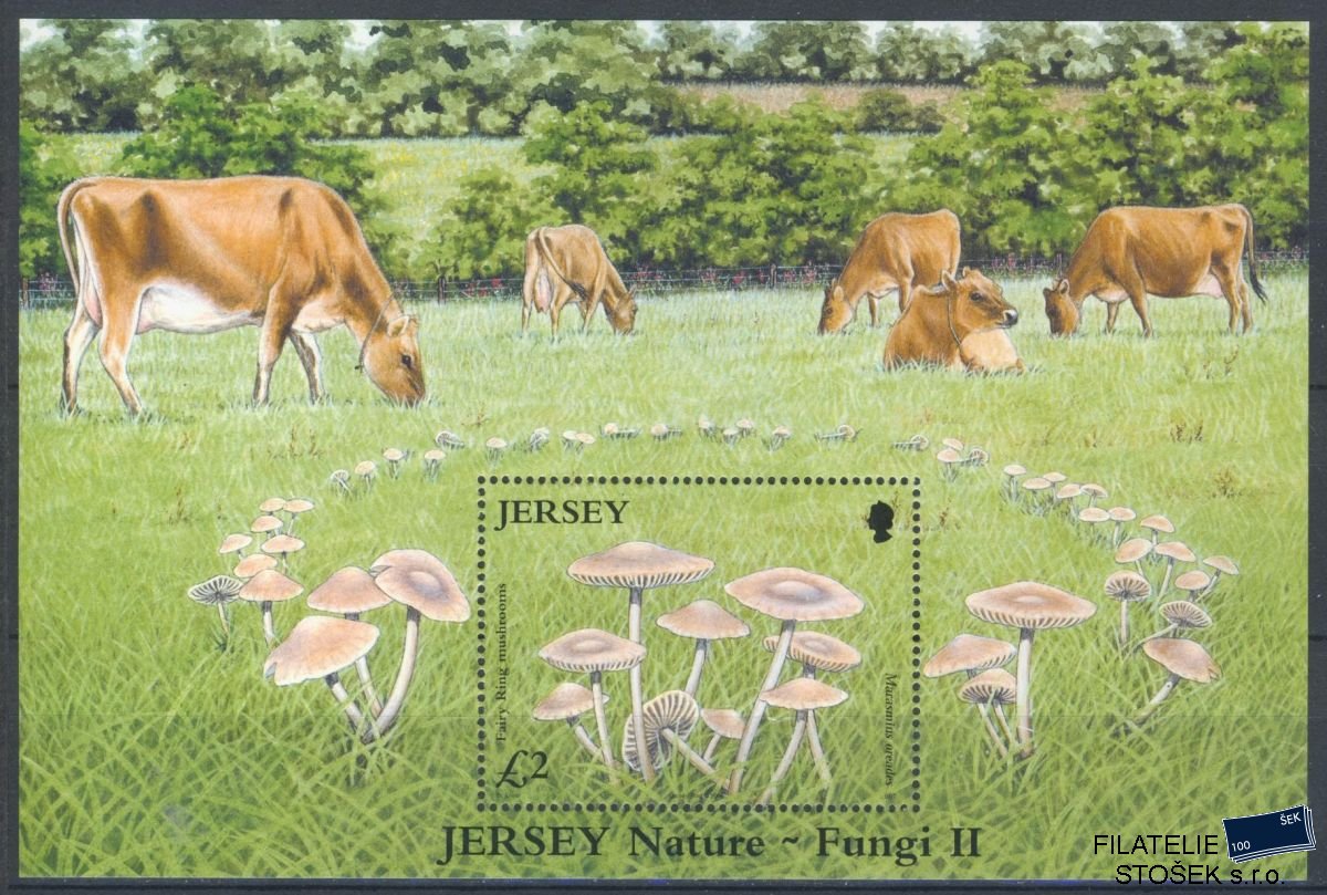 Jersey známky Mi 1206 (Bl.51)