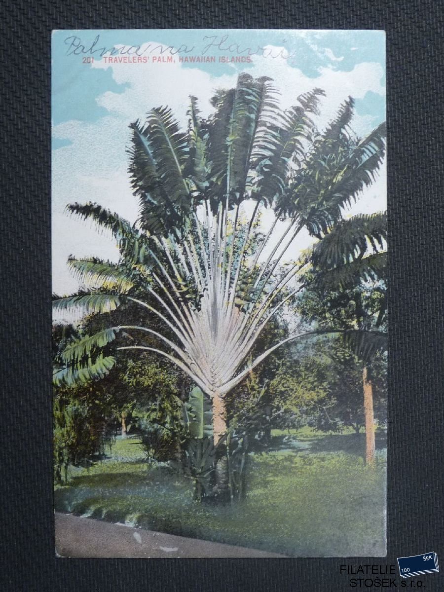 Hawai pohlednice -